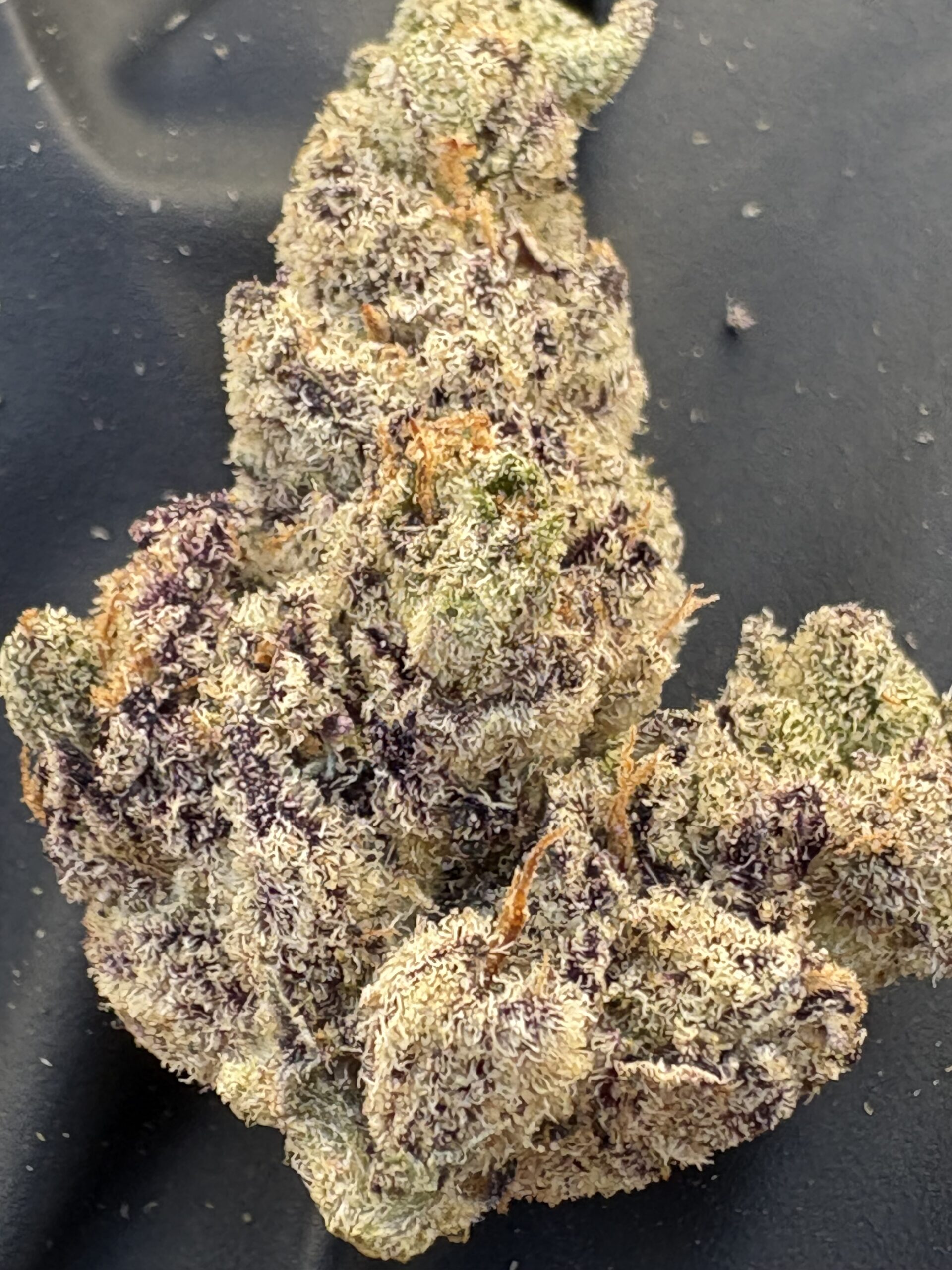 EXOTIC CANDY RUNTZ - 21.57% - Image 2