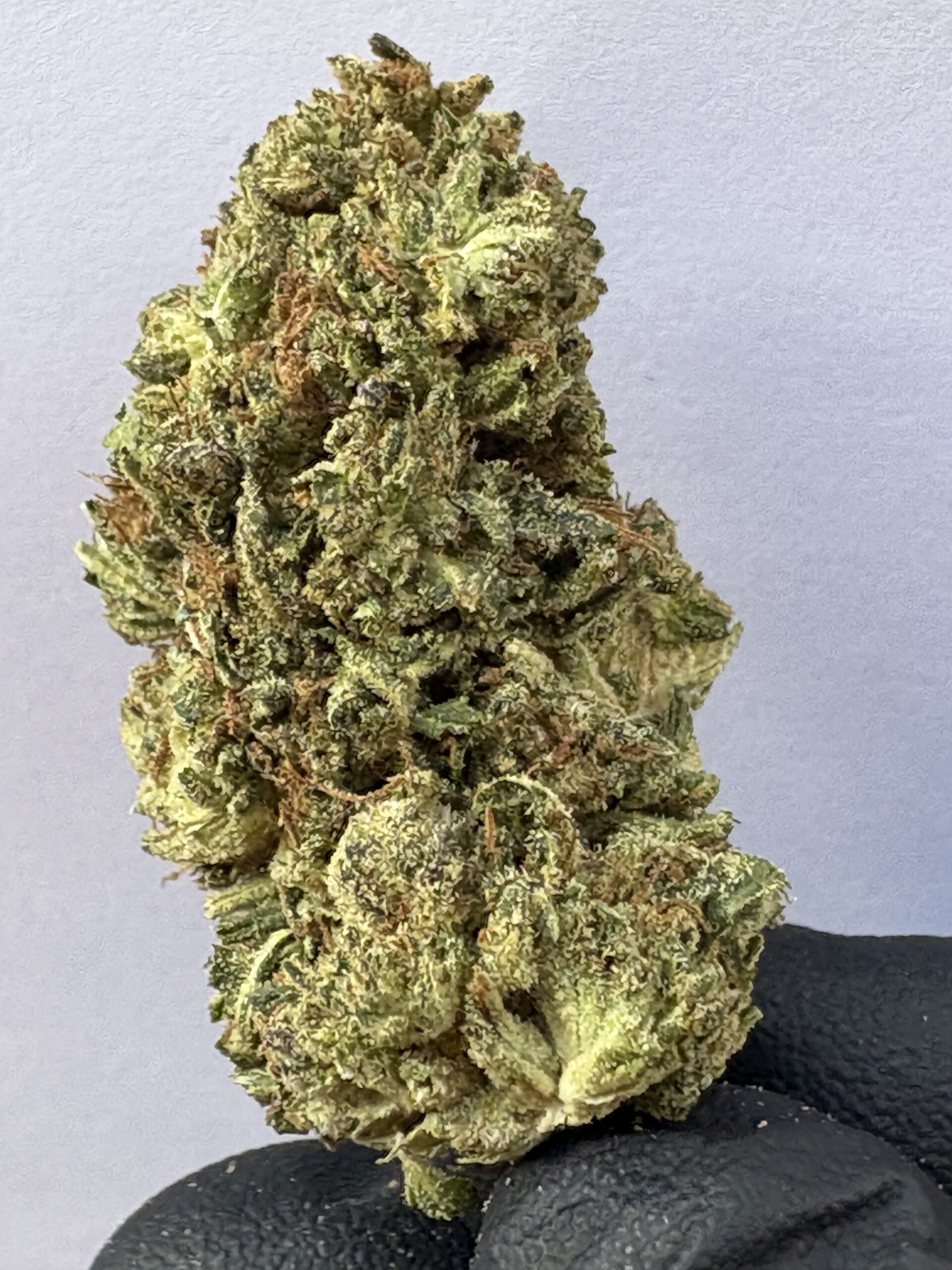 CBD FLOWER - GROILLA GLUE