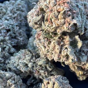 LEMON CHERRY GELATO - 23.25%