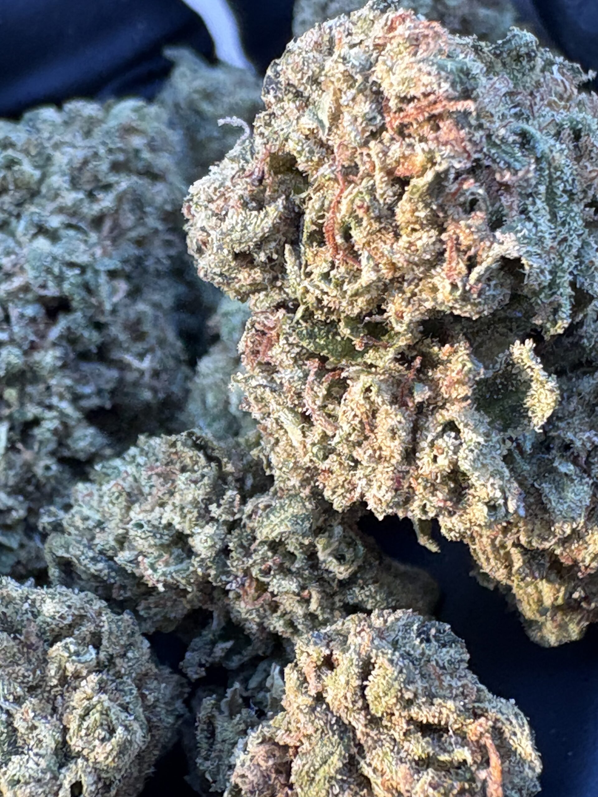 LEMON CHERRY GELATO - 23.25%