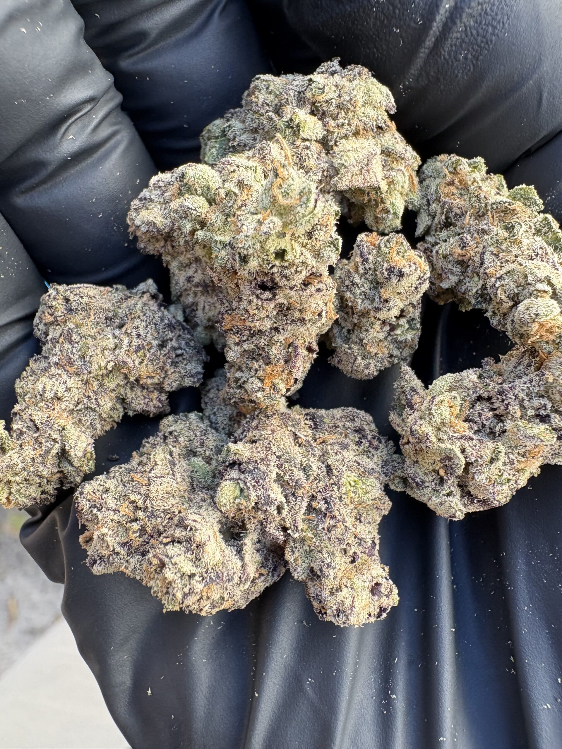 EXOTIC CANDY RUNTZ - 21.57%