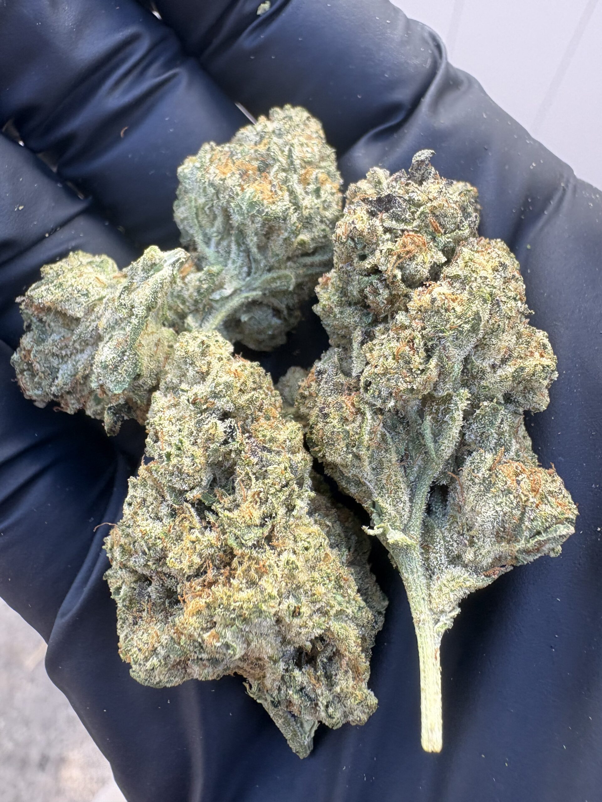COOKIES & CREAM - 24.49%