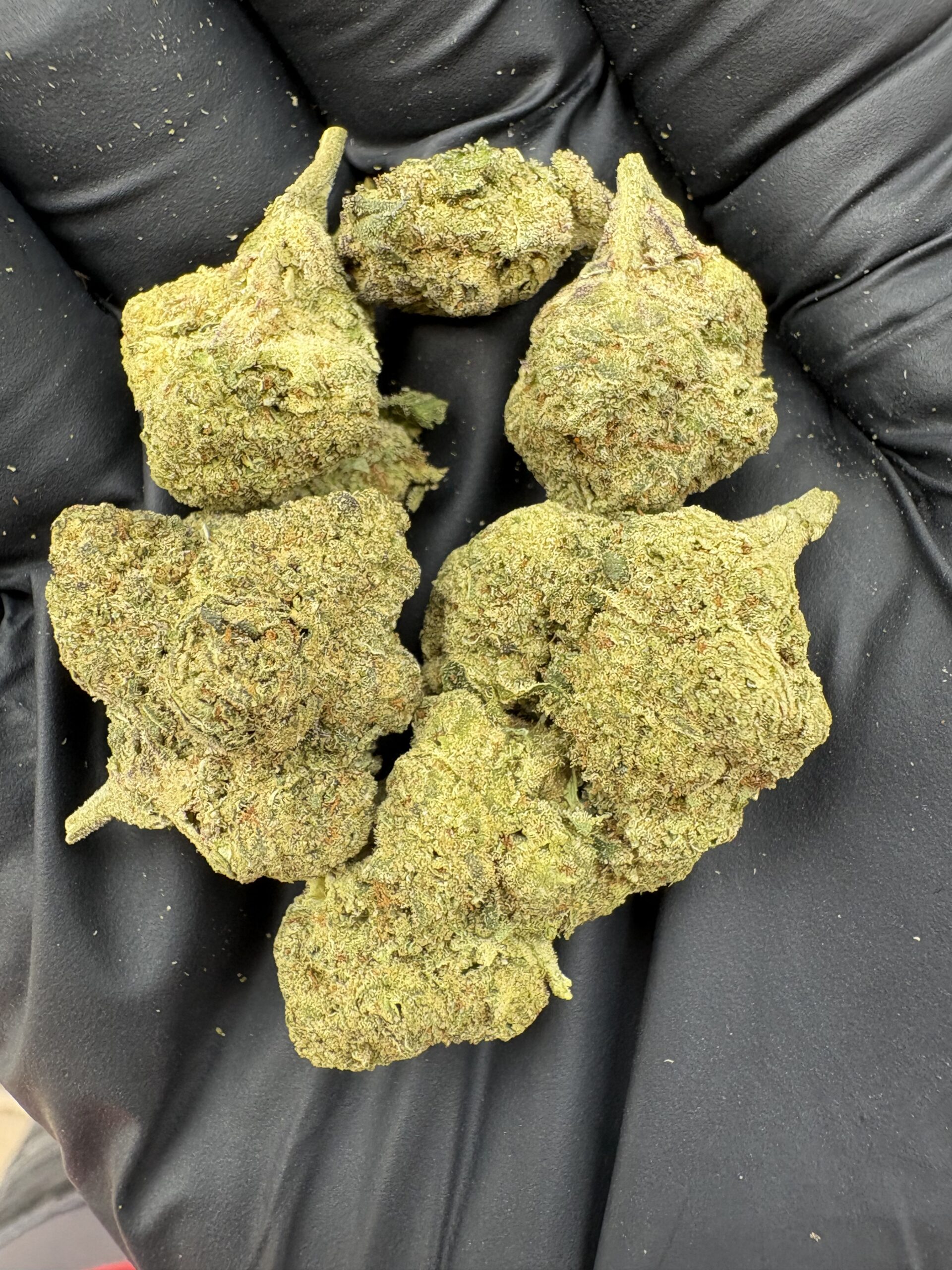 JOKERS CANDY - 25.36%